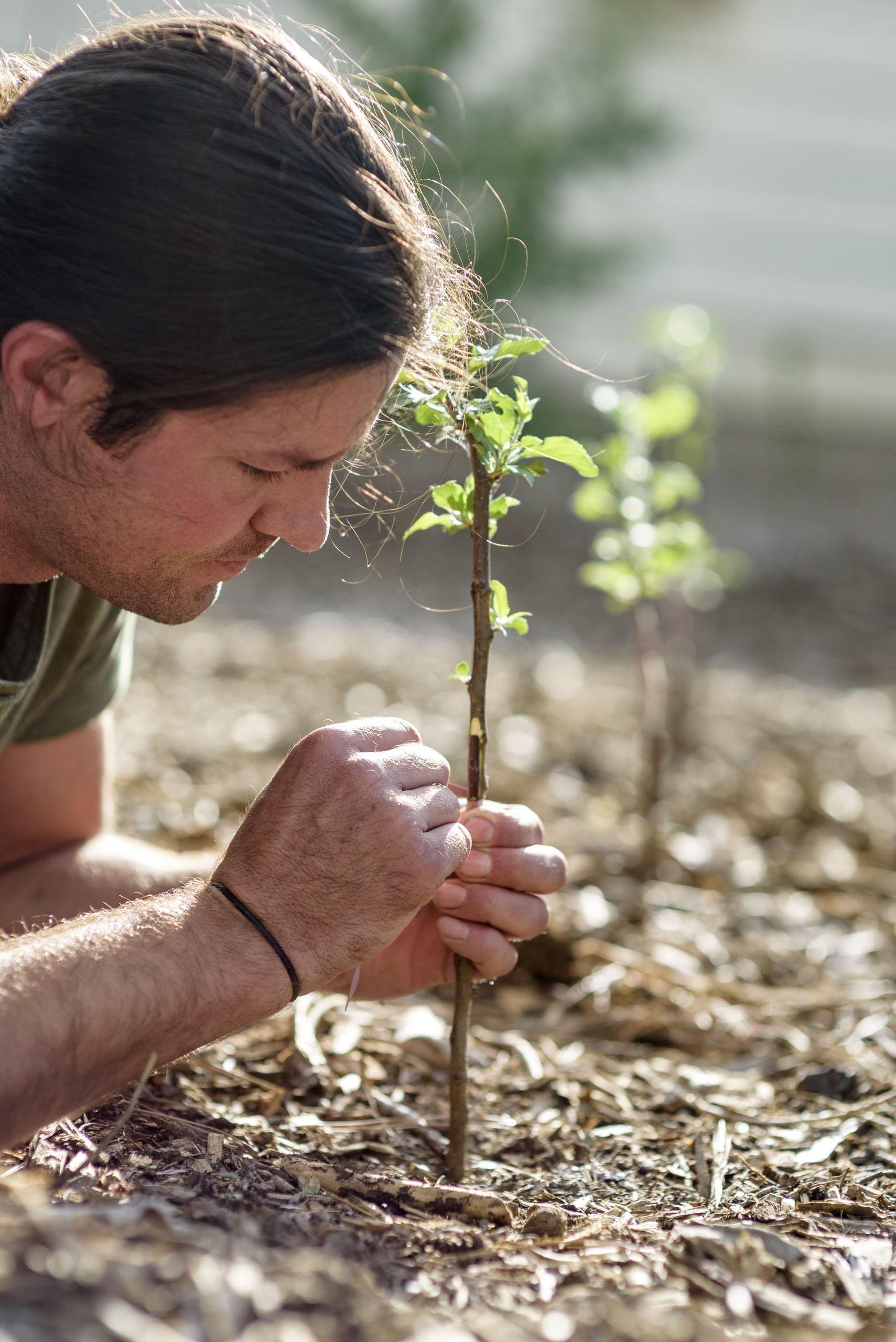 ChristophWeber Grafting3
