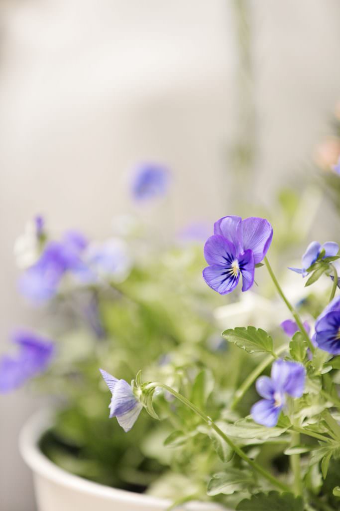 Summer Cover Images02 1