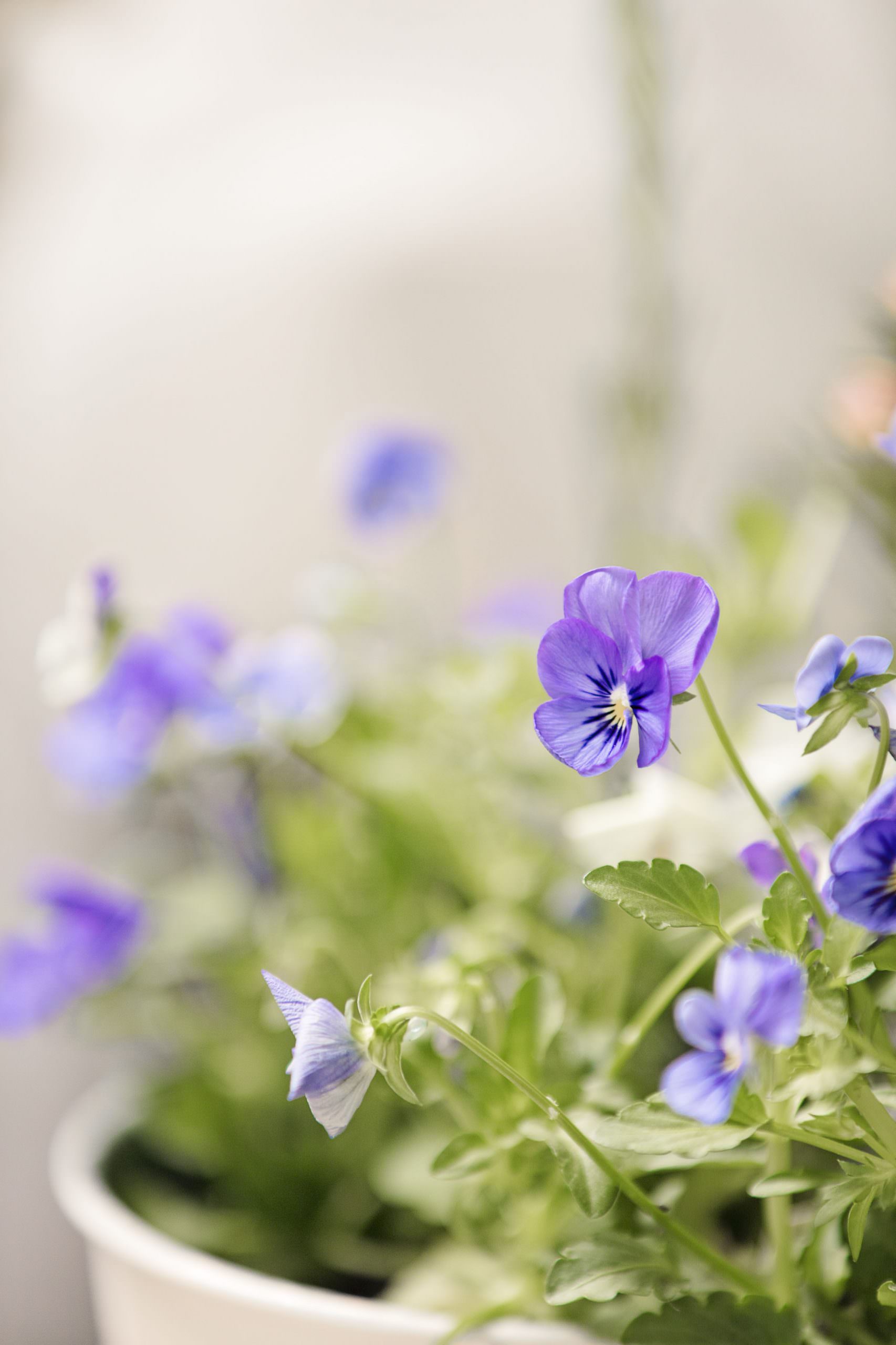 Summer Cover Images02 1