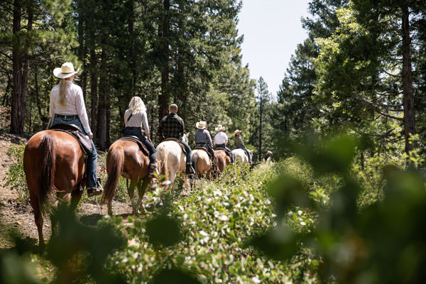 web Greenhorn Ranch sJWD3fDg