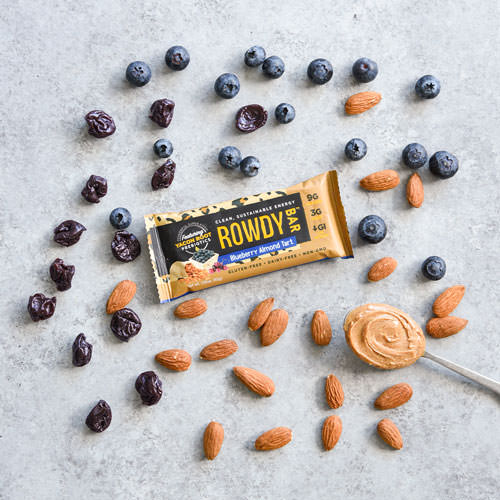 web RowdyBar BlueberryAlmondTart2a