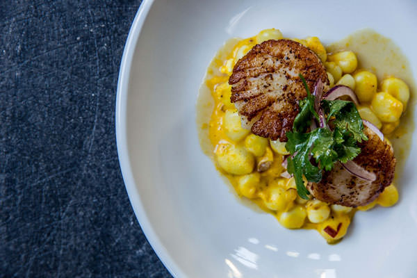 web Mochica Scallops Carlitos Credit Aubrie Pick 9