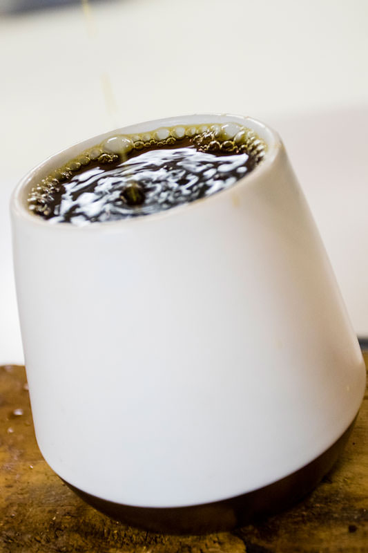 web Star Coffee 27