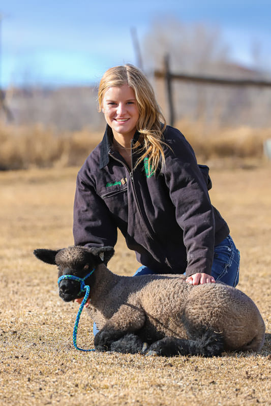 web Ainsley Parmer 4H 1