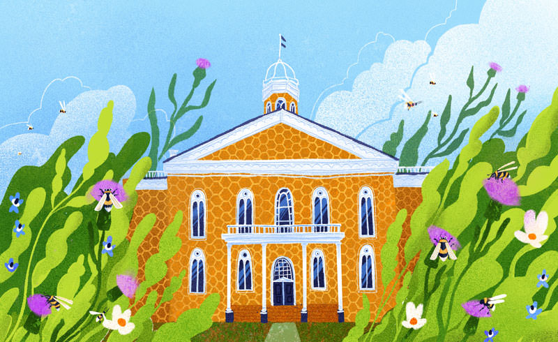 web Bee City Illustration