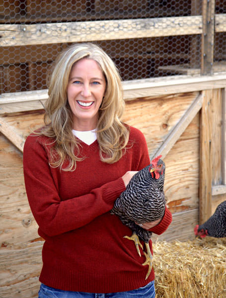 web Editors Photo01 chicken