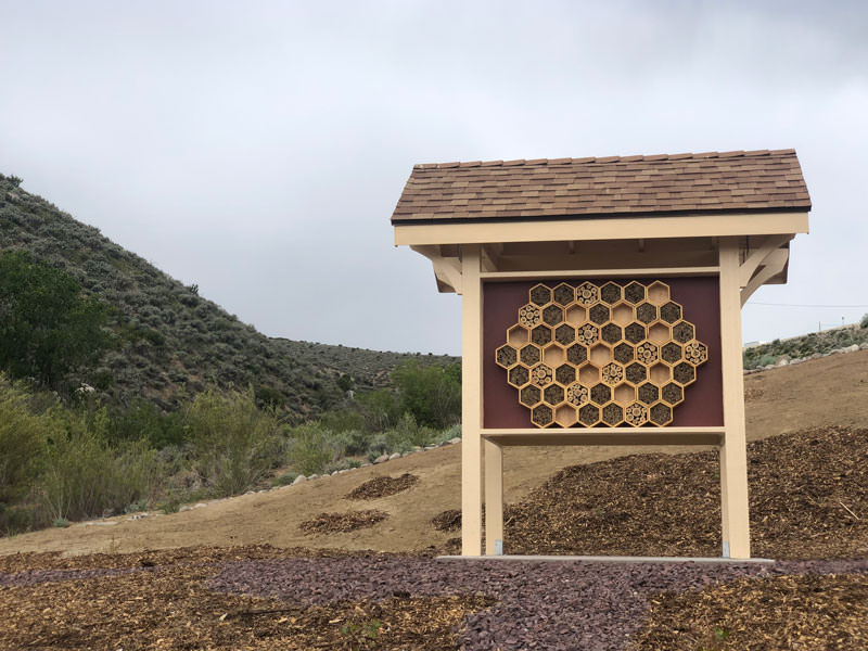 web Hospital Bee Hotel5867