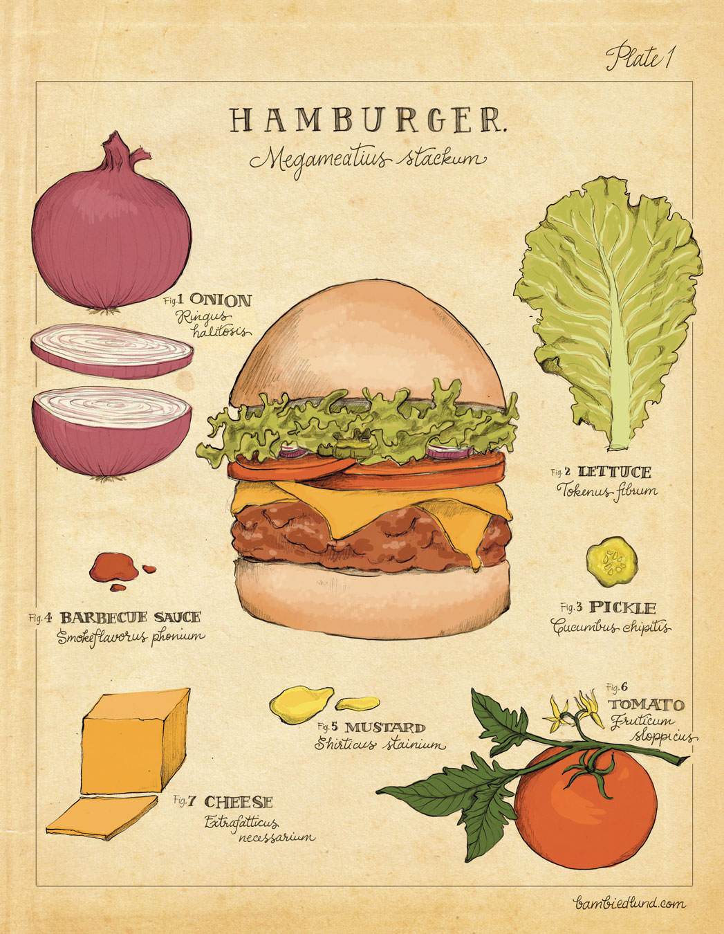 Summer 2020 · Hamburger