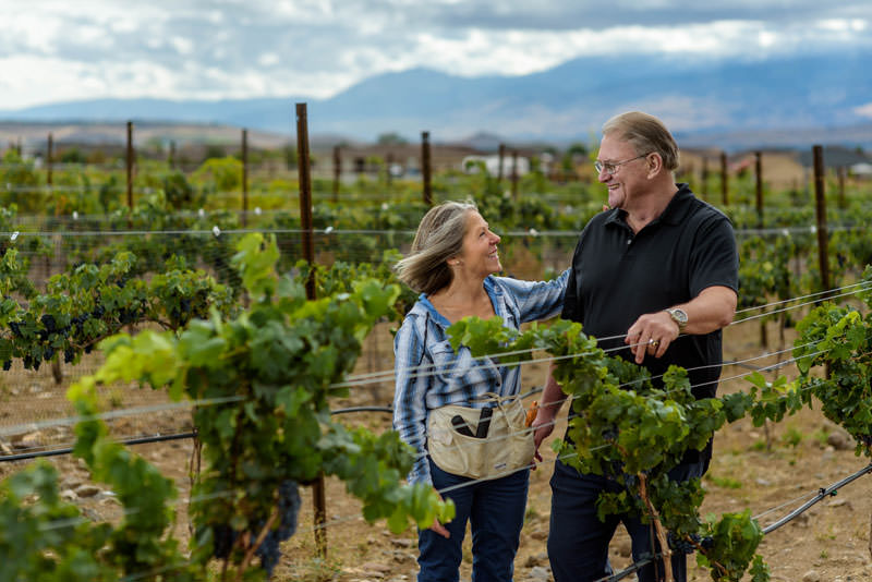 web Backyard vineyards14