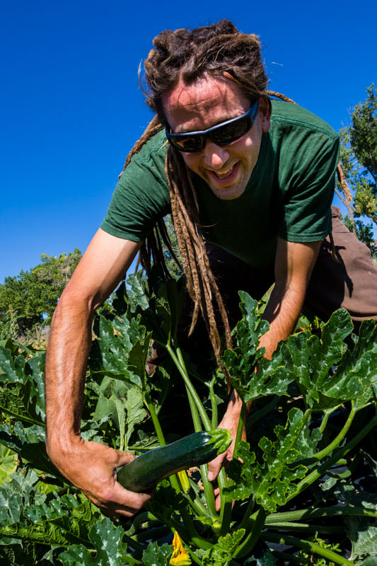 web Bee Here Now Farm10