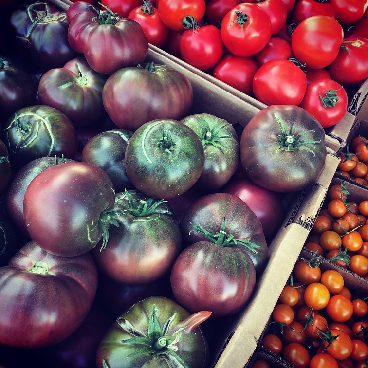variety of heirloom tomatoes in a basket