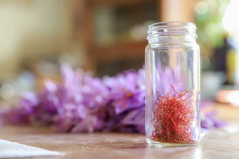 web Saffron 18
