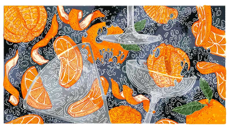 web Drinks On You Mandarins Illustration01