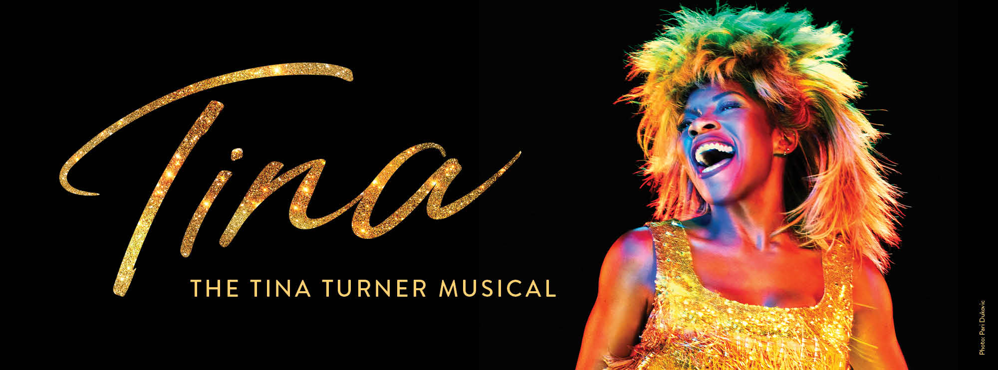 Tina: The Tina Turner Musical