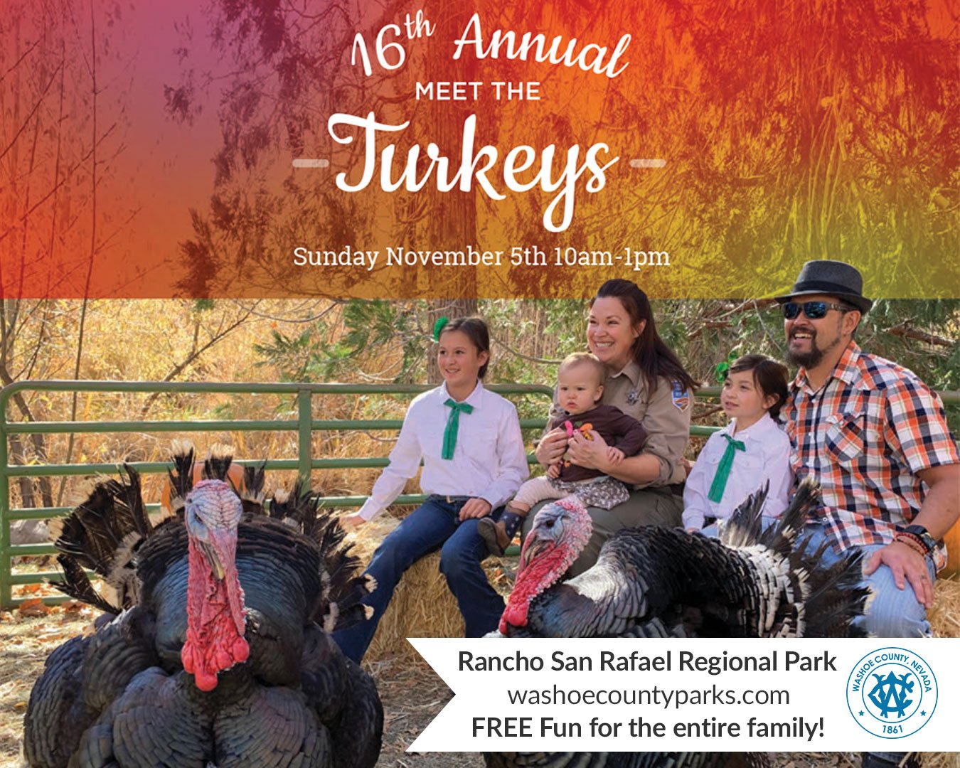 Meet the Turkeys